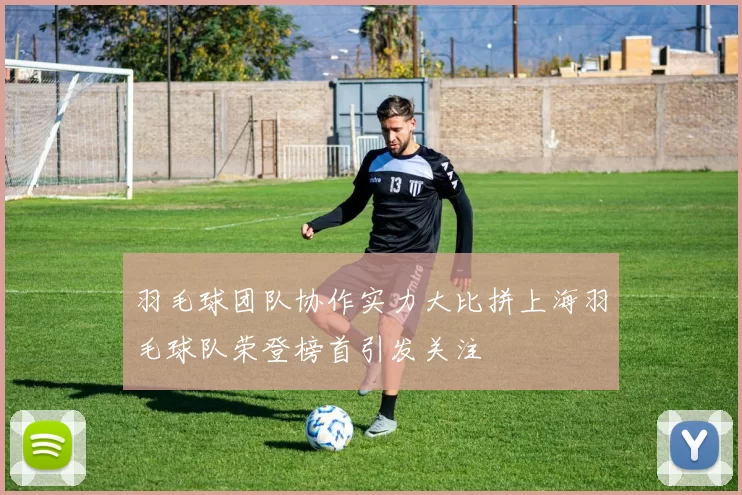 羽毛球团队协作实力大比拼上海羽毛球队荣登榜首引发关注