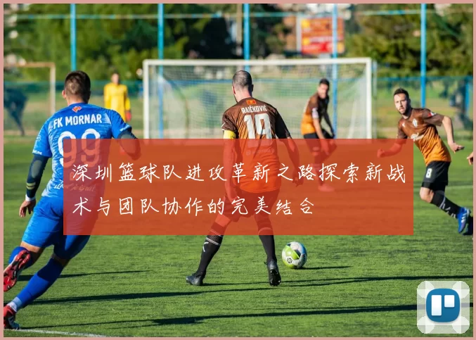 深圳篮球队进攻革新之路探索新战术与团队协作的完美结合