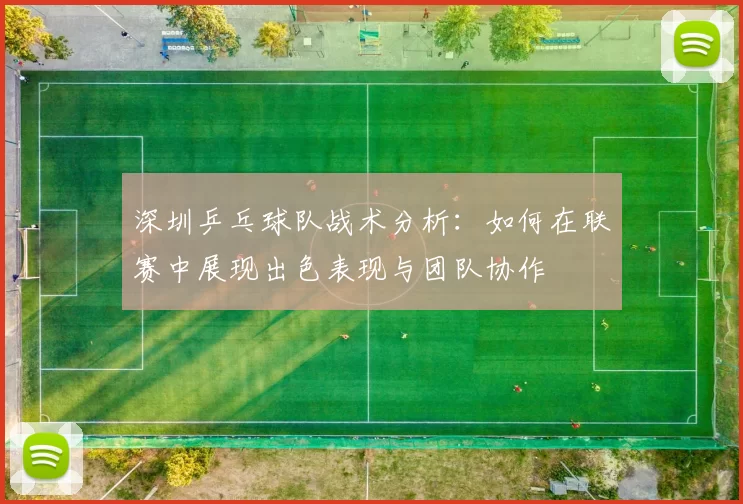 深圳乒乓球队战术分析：如何在联赛中展现出色表现与团队协作
