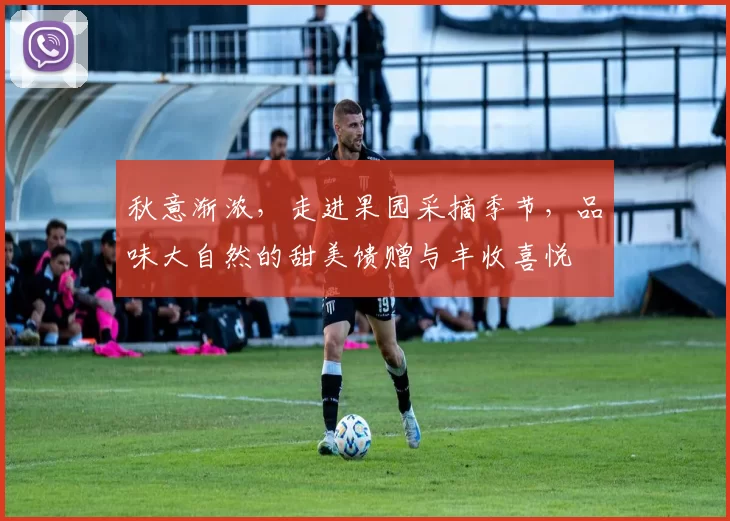 秋意渐浓，走进果园采摘季节，品味大自然的甜美馈赠与丰收喜悦