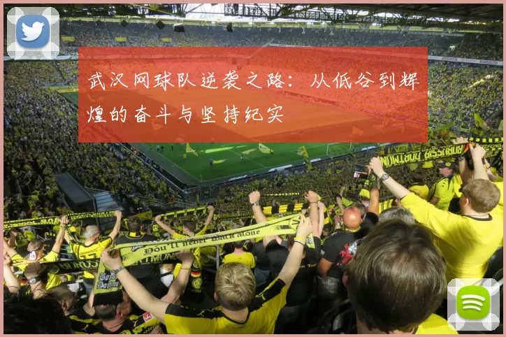 武汉网球队逆袭之路：从低谷到辉煌的奋斗与坚持纪实