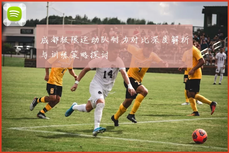 成都极限运动队耐力对比深度解析与训练策略探讨