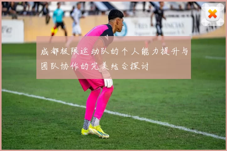 成都极限运动队的个人能力提升与团队协作的完美结合探讨