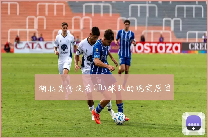 湖北为何没有CBA球队的现实原因
