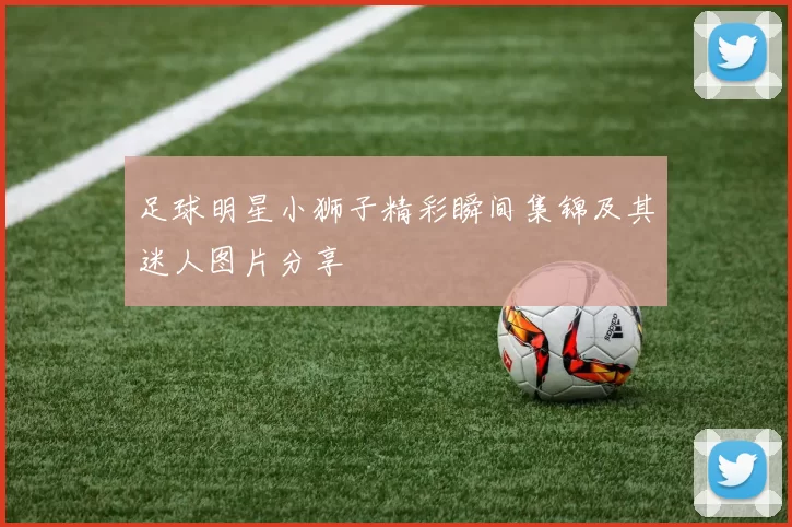 足球明星小狮子精彩瞬间集锦及其迷人图片分享