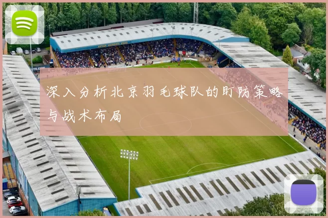 深入分析北京羽毛球队的盯防策略与战术布局