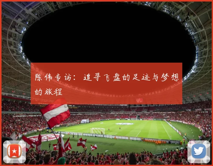 陈伟专访：追寻飞盘的足迹与梦想的旅程