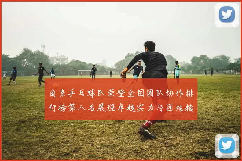 南京乒乓球队荣登全国团队协作排行榜第八名展现卓越实力与团结精神