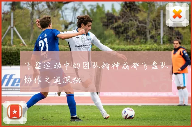 飞盘运动中的团队精神成都飞盘队协作之道探秘