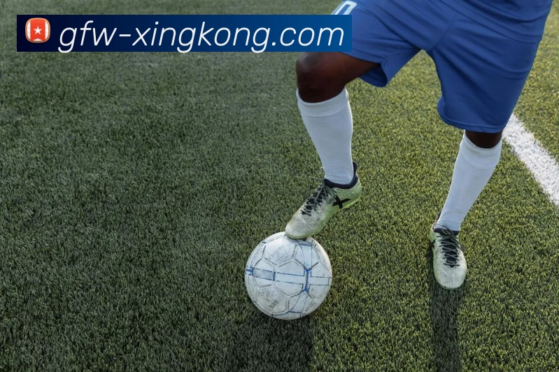 星空体育APP 高清赛事图